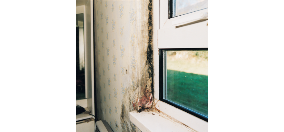 mould and condensation around window